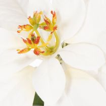 Product Artificial White Poinsettia Flower Stem 40cm