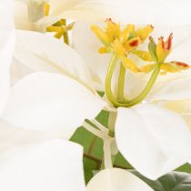 Product Artificial White Poinsettia Flower Stem 40cm