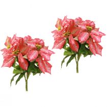 Product Poinsettia Artificial Red Pink L35cm 6pcs 2 bunch