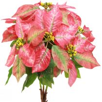 Product Poinsettia Red Pink Artificial Poinsettia L53cm
