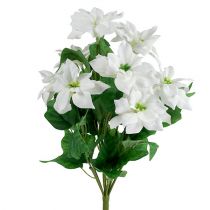 Poinsettia bouquet white L45cm