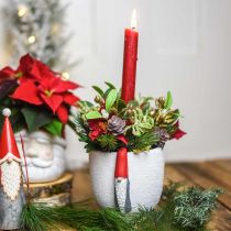 Christmas pot with gnome, advent decoration, concrete planter white, red Ø8cm H12.5cm 2pcs