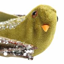 Product Christmas decoration bird on clip green, glitter 12cm 6pcs assorted