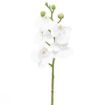 Product White Artificial Orchid Phalaenopsis Real Touch 32cm