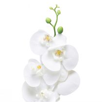 Product White Artificial Orchid Phalaenopsis Real Touch 85cm