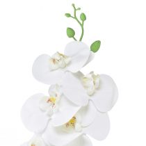 Product White Artificial Orchid Phalaenopsis Real Touch H83cm