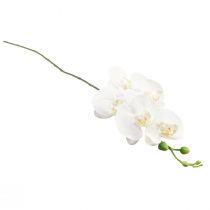 Product White Orchid Artificial Phalaenopsis Real Touch H83cm