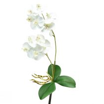 Product White Orchid on Pick Artificial Phalaenopsis Real Touch 39cm