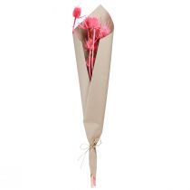 Product Wild teasel dried decoration, pink thistles, 53cm, 10 heads