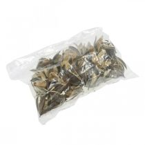 Product Wild Lily Natural Decoration Exotic Dried Flowers 6-8cm 50 pcs