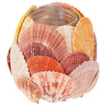 Product Nautical tealight holder, lantern, real seashells, decoration for bathroom, holiday atmosphere, 12cm