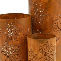 Product Autumn decoration lantern rust look H20/15/10cm set of 3