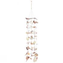 Product Wind chime shell decoration for hanging H80cm