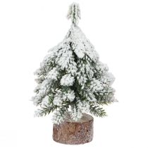 Product Winter decoration Christmas tree in green white Ø7cm H14cm 4pcs