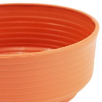 Z-bowl plastic Ø 16cm - 22cm 10 pieces