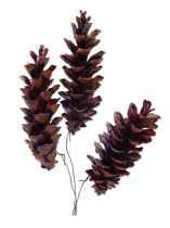 Product Weymouth cones waxed wired 200 pcs