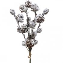 Product Christmas branches cone branch Snowed 30cm 5pcs in bunch
