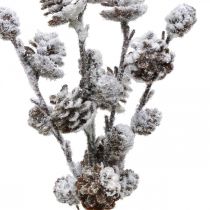Product Christmas Branches Cone Branch Snowed 30cm 5 pcs in bunch