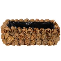 Product Rectangular Pinecone Planter for Indoor Planting 40cm Natural Brown