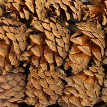Product Rectangular Pinecone Planter for Indoor Planting 40cm Natural Brown