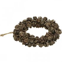 Product Cone wreath cypress cone wreath door wreath nature Ø20cm