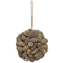 Product Cone ball for hanging alder cones white washed 12cm