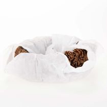 Product Pinecone Planter Oval 30cm in Natural Brown