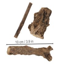 Product Enchanting decorative wooden roots for your home