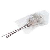 Product Witch Hazel Branch Champagne 45cm 3 pcs