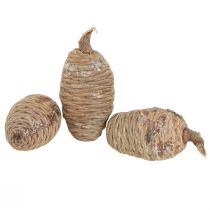Product Cedar cones, decorative cedar, natural, 9-10.5 cm, 3 pieces