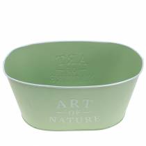 Product Flower bowl oval zinc mint green 27×18cm H12.5cm