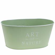 Product Flower bowl oval zinc mint green 27×18cm H12.5cm