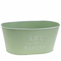 Product Flower bowl oval zinc 27 × 18cm H12.5cm Different colors