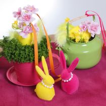 Product Planting cup with saucer for creative gardens, 11cm, 6 pieces