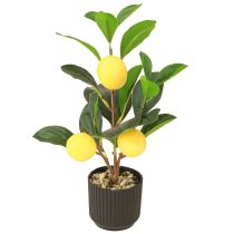 Product Lemon Tree in Pot Artificial in Green Yellow H28cm