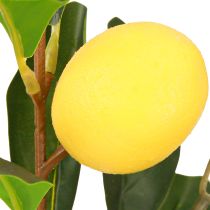 Product Lemon Tree in Pot Artificial in Green Yellow H28cm