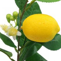 Deco branch lemon artificial lemon branch 42cm 3pcs