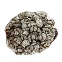 Product Cypress Cones 3cm Washed White 500g