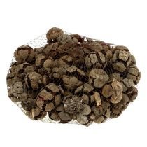 Product Cypress cones nature 3cm 500g