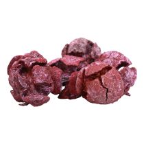Product Cypress cones frosted natural decoration 3cm dark red 500g