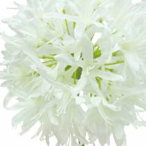 Product Allium Artificial White Ø12cm H62cm