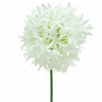 Product Allium Artificial White Ø12cm H62cm