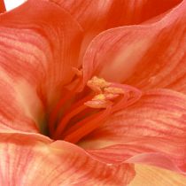 Product Amaryllis Decoration Flowers in Orange Artificial L55cm 2pcs