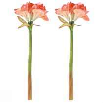 Product Amaryllis Decoration Flowers in Orange Artificial L55cm 2pcs