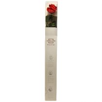 Product Infinity Rose with Leaves Preserved Amorosa Red L54cm