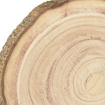 Product Tree disc Paulownia wood decoration natural Ø17-21cm 4 pcs