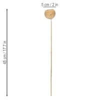 Product Bell Cup Mix on a Stem, Natural Exotic Varieties, 15 pieces