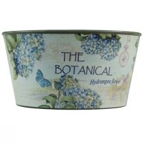 Product Planter hydrangeas flower bowl round plastic Ø21cm H11cm