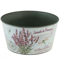 Product Planter lavender plastic flower bowl round Ø21cm H11cm