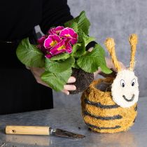 Product Bee-shaped planter as a decorative plant basket for playful interior design, spring and summer, 24cm, 2 pieces